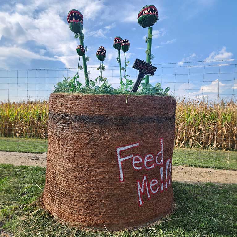 The Appleberry Orchard Hay Bale Contest in Donnellson, Iowa